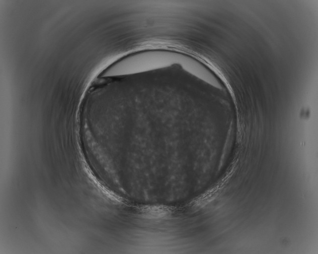 X0000088881045200706291559