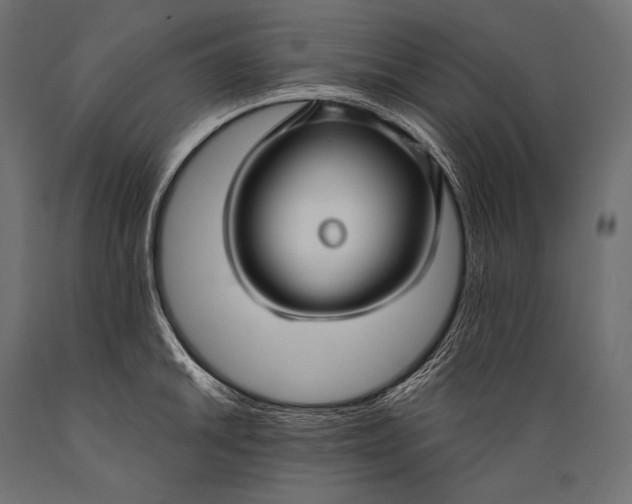 X0000088881046200706291559