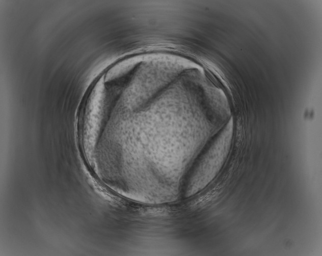 X0000088881047200706291559