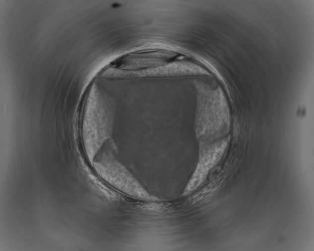 X0000088881048200706291559