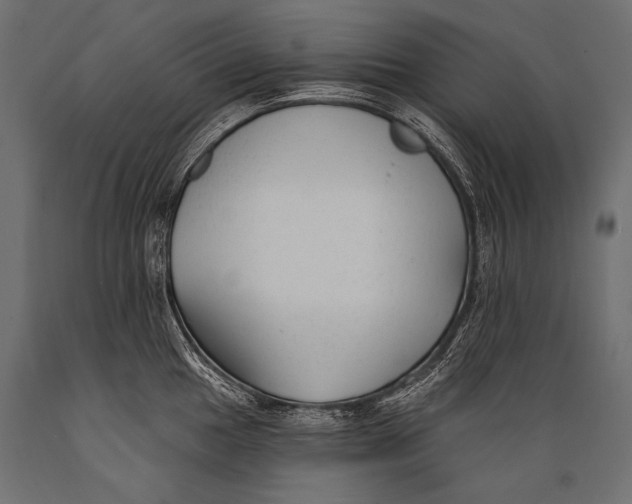 X0000088881049200706291559