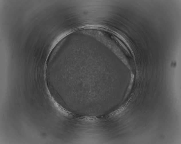 X0000088881050200706291559