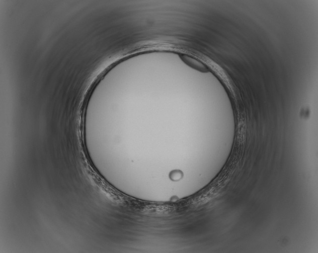 X0000088881051200706291559