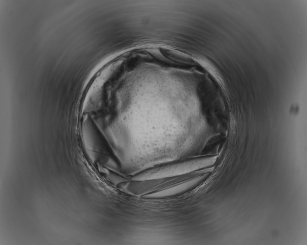 X0000088881052200706291559