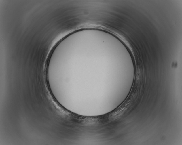 X0000088881053200706291559