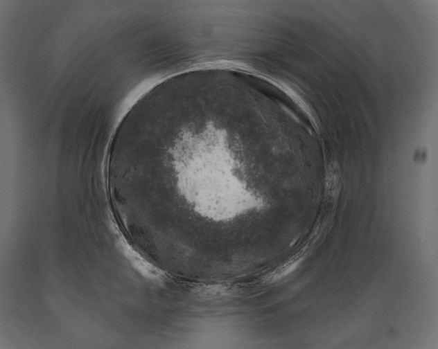 X0000088881054200706291559