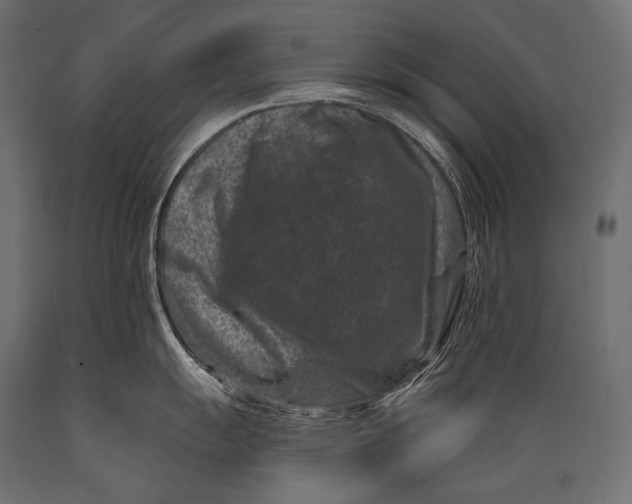 X0000088881055200706291559