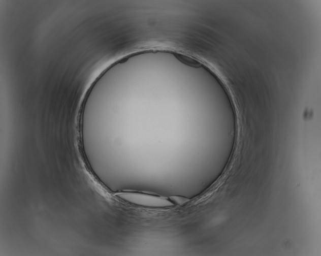 X0000088881056200706291559