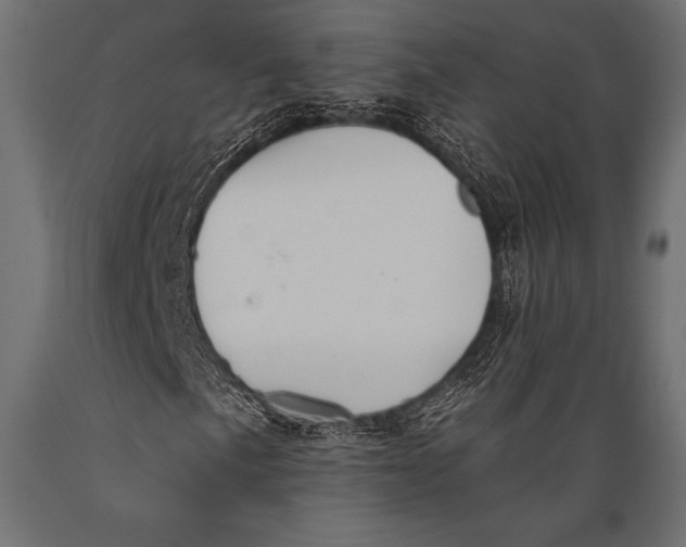 X0000088881057200706291558