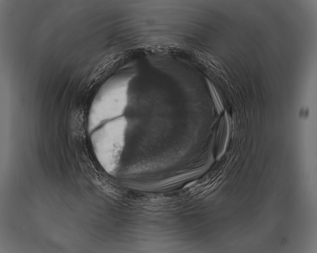 X0000088881060200706291558