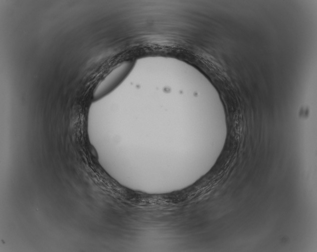 X0000088881061200706291558