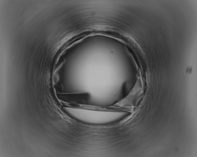 X0000088881065200706291558