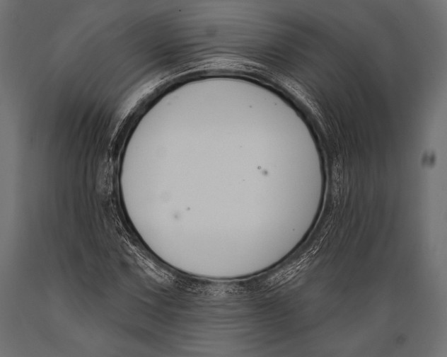 X0000088881067200706291558