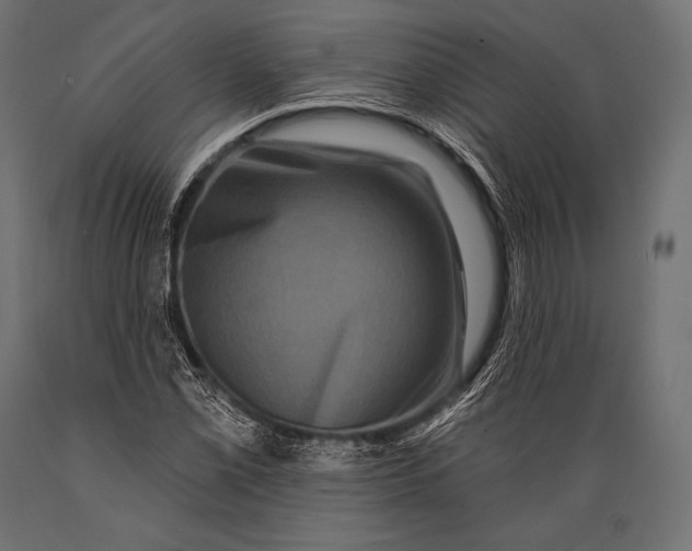 X0000088881069200706291558