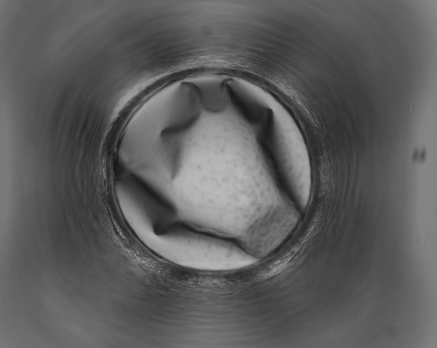 X0000088881070200706291558