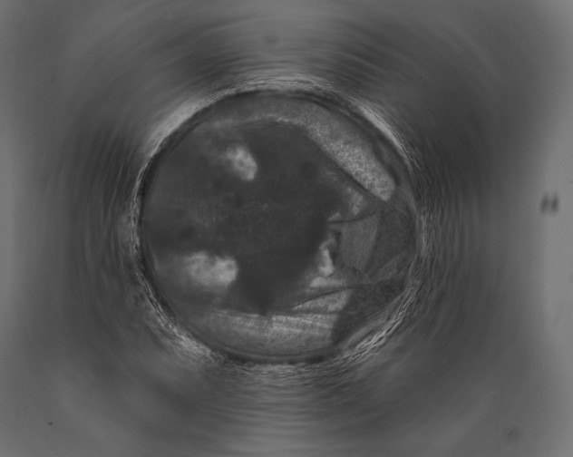 X0000088881071200706291558