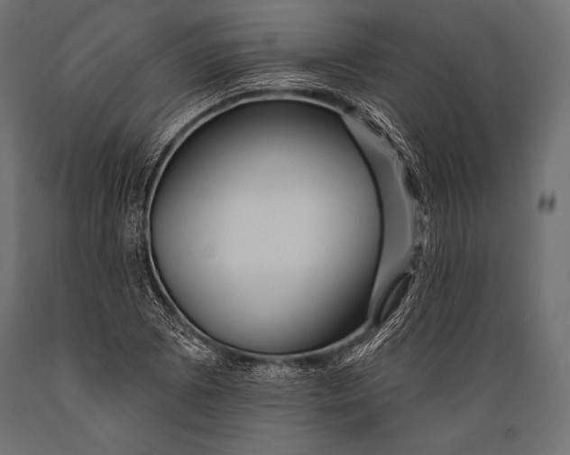 X0000088881073200706291558