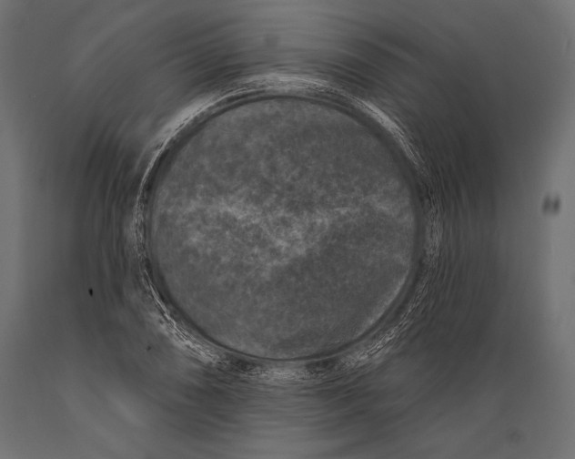 X0000088881074200706291558