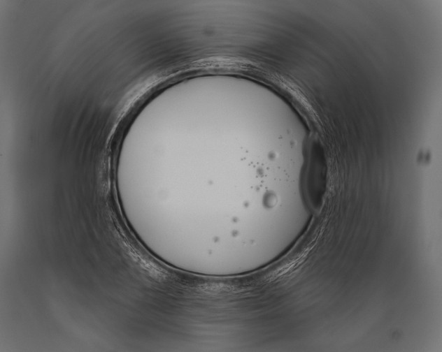 X0000088881075200706291558