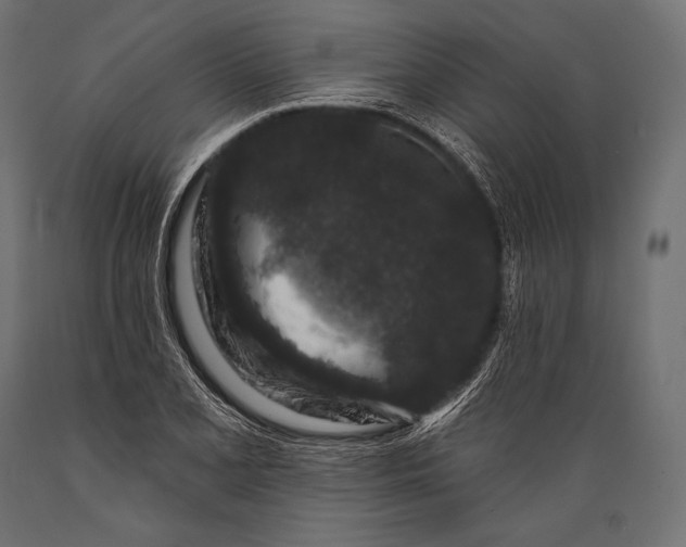 X0000088881077200706291558