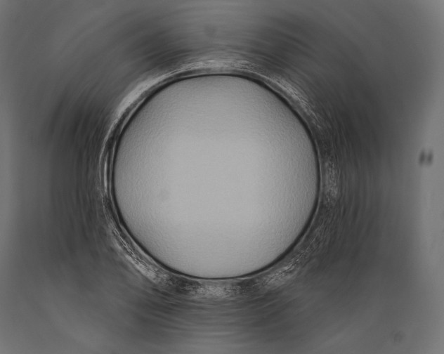 X0000088881078200706291558