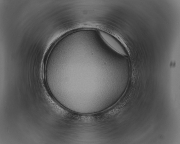 X0000088881080200706291558