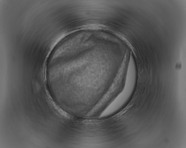 X0000088881083200706291558