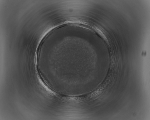 X0000088881084200706291558