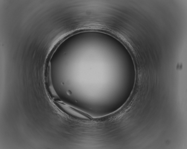 X0000088881085200706291558