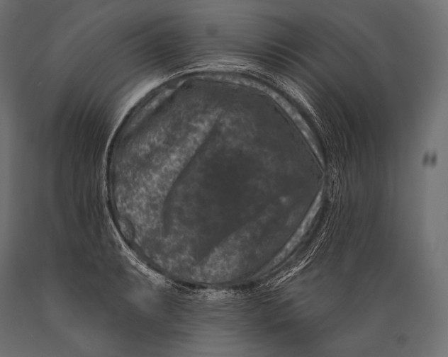 X0000088881087200706291558