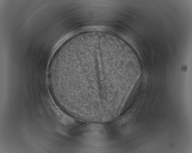 X0000088881090200706291558