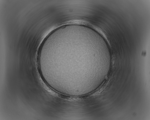 X0000088881091200706291558