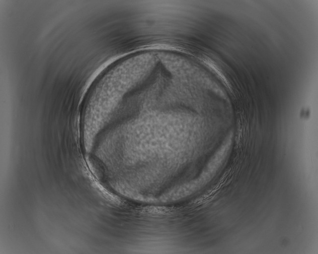 X0000088881092200706291558