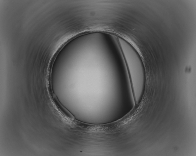 X0000088881093200706291558