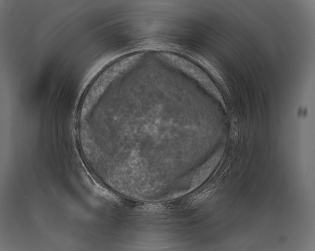 X0000088881094200706291558