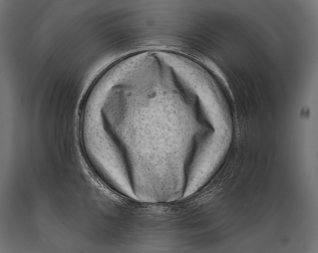 X0000088881096200706291558