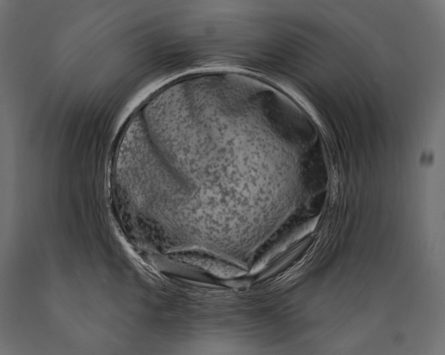 X0000088881101200706291558