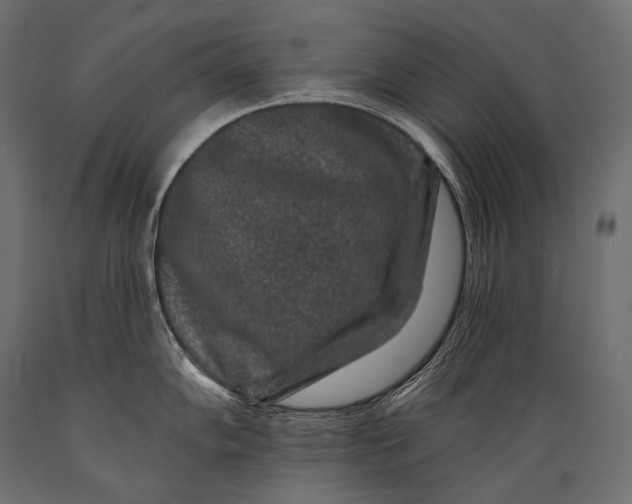 X0000088881102200706291558