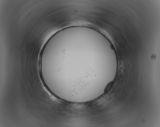 X0000088881103200706291558