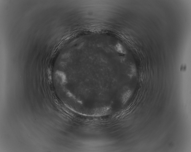 X0000088881106200706291557