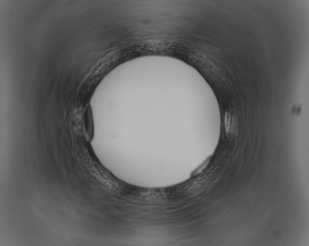 X0000088881107200706291557