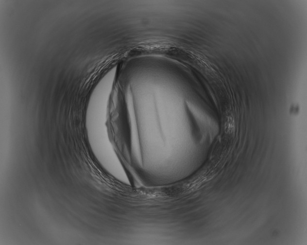 X0000088881108200706291557