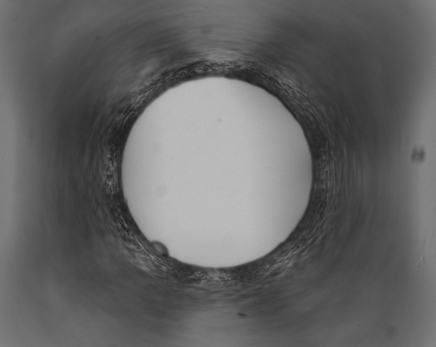 X0000088881109200706291557