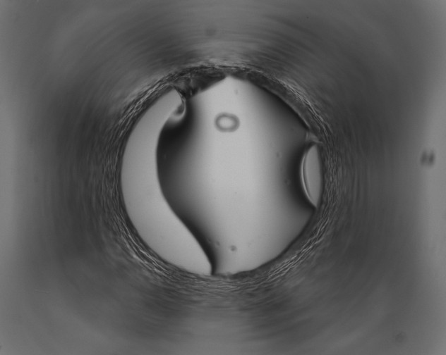 X0000088881110200706291557