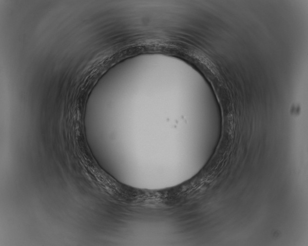 X0000088881111200706291557