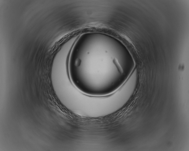 X0000088881112200706291557