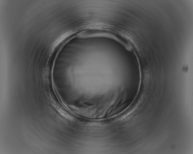 X0000088881114200706291557