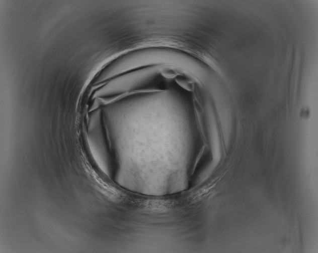 X0000088881116200706291557