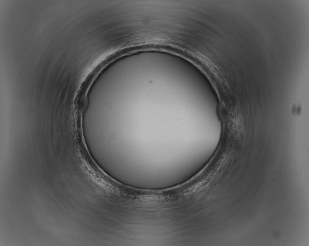 X0000088881118200706291557