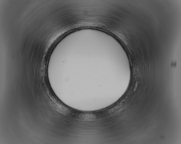 X0000088881119200706291557